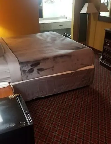 Hotel 2 Queen Beds Hotel Room 106 Wi-Fi Booking